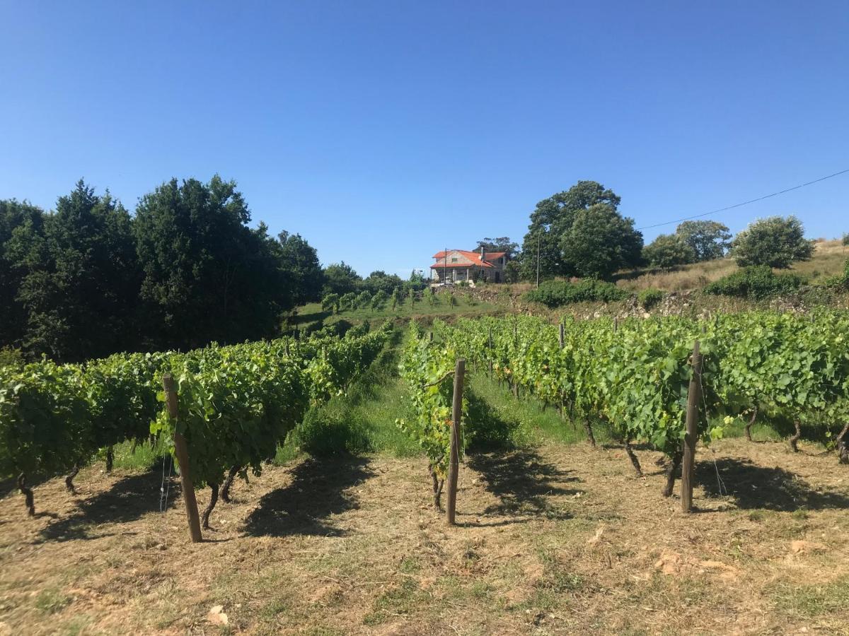 Quinta Casa Do Retiro Villa Penalva do Castelo Kültér fotó